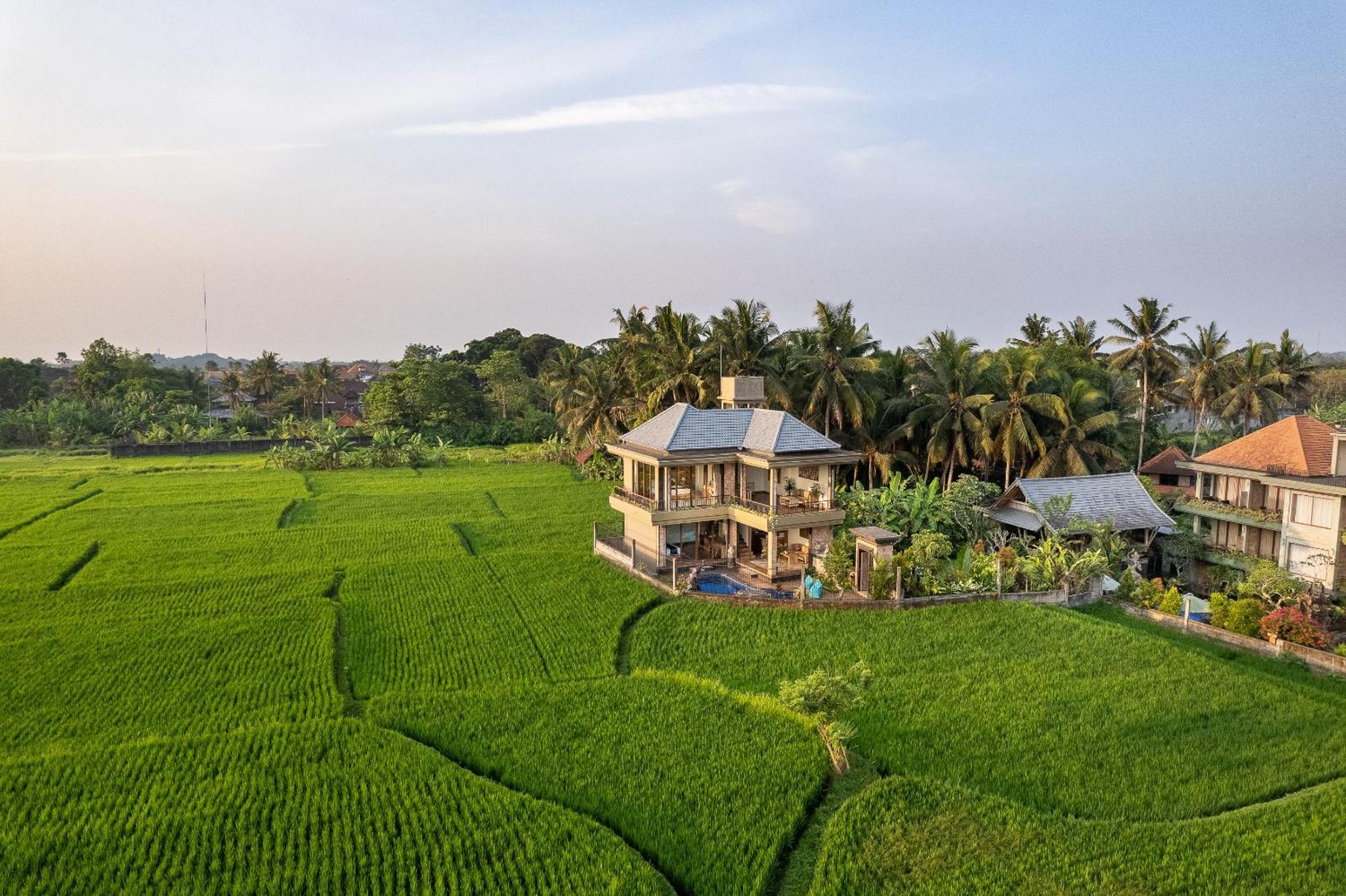 Gynandha Ubud Cottage Dış mekan fotoğraf