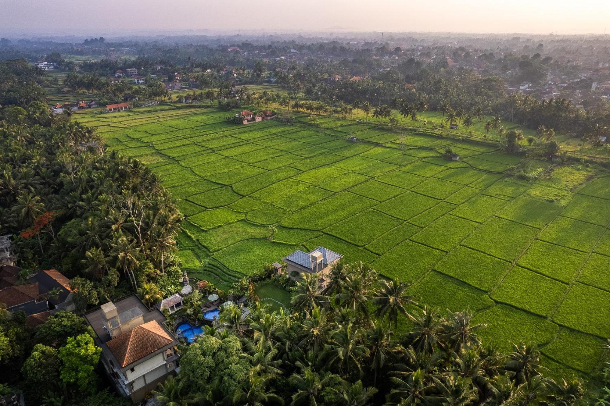 Gynandha Ubud Cottage Dış mekan fotoğraf