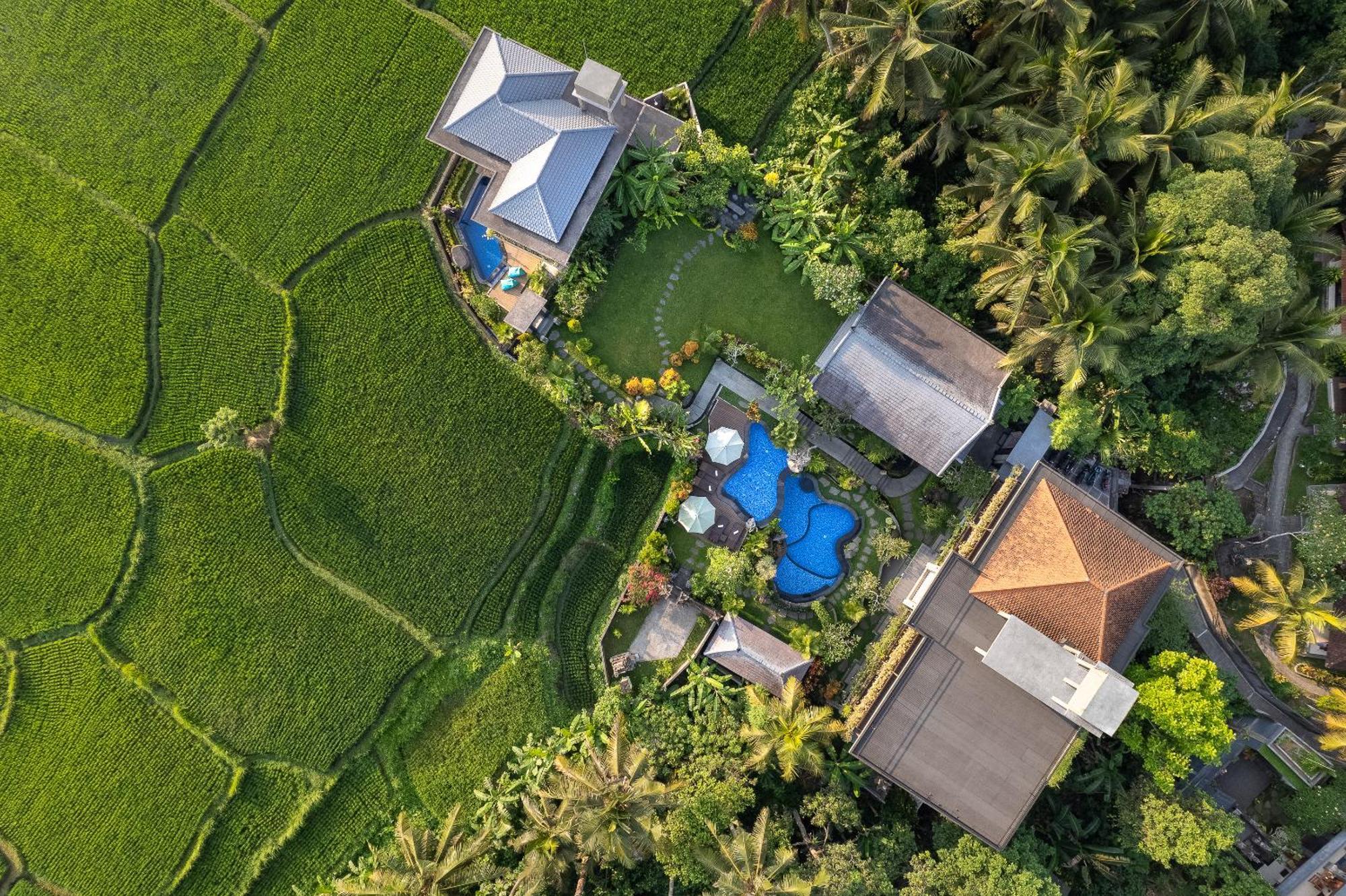 Gynandha Ubud Cottage Dış mekan fotoğraf