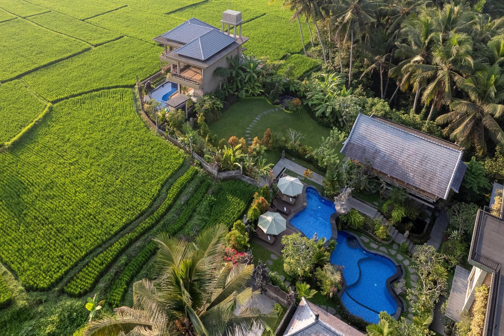 Gynandha Ubud Cottage Dış mekan fotoğraf